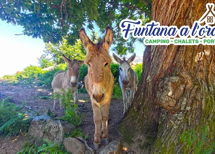 Funtana A L'ora Camping Porto (Corsica)
