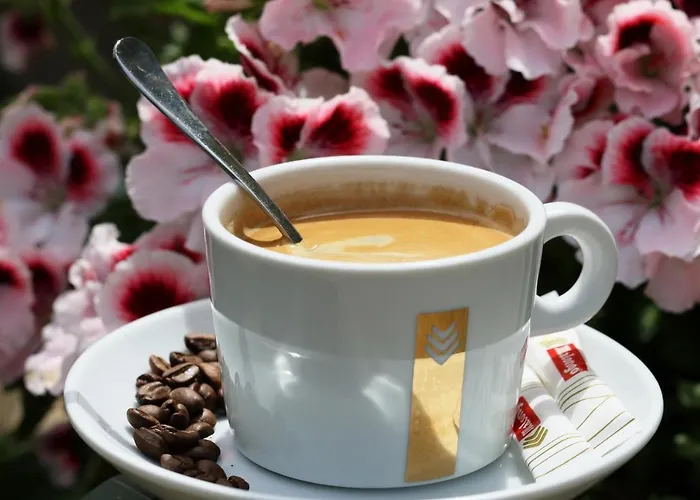 Funtana A L'ora Camping Porto (Corsica)