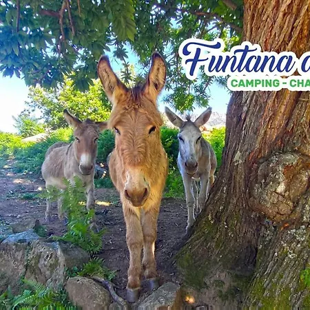 Funtana A L'ora Campingplads Porto (Corsica)