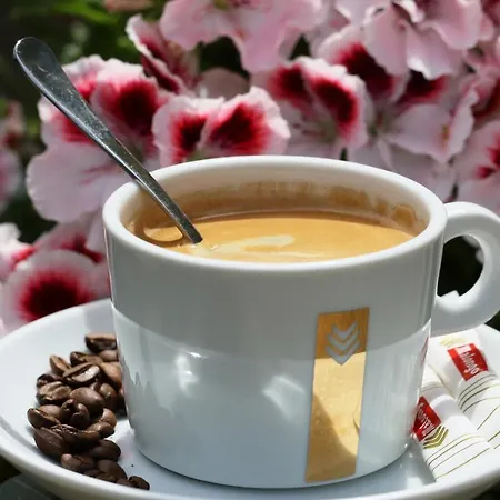 Funtana A L'ora Κάμπινγκ Porto (Corsica)