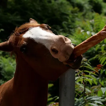 Funtana A L'ora Porto (Corsica)